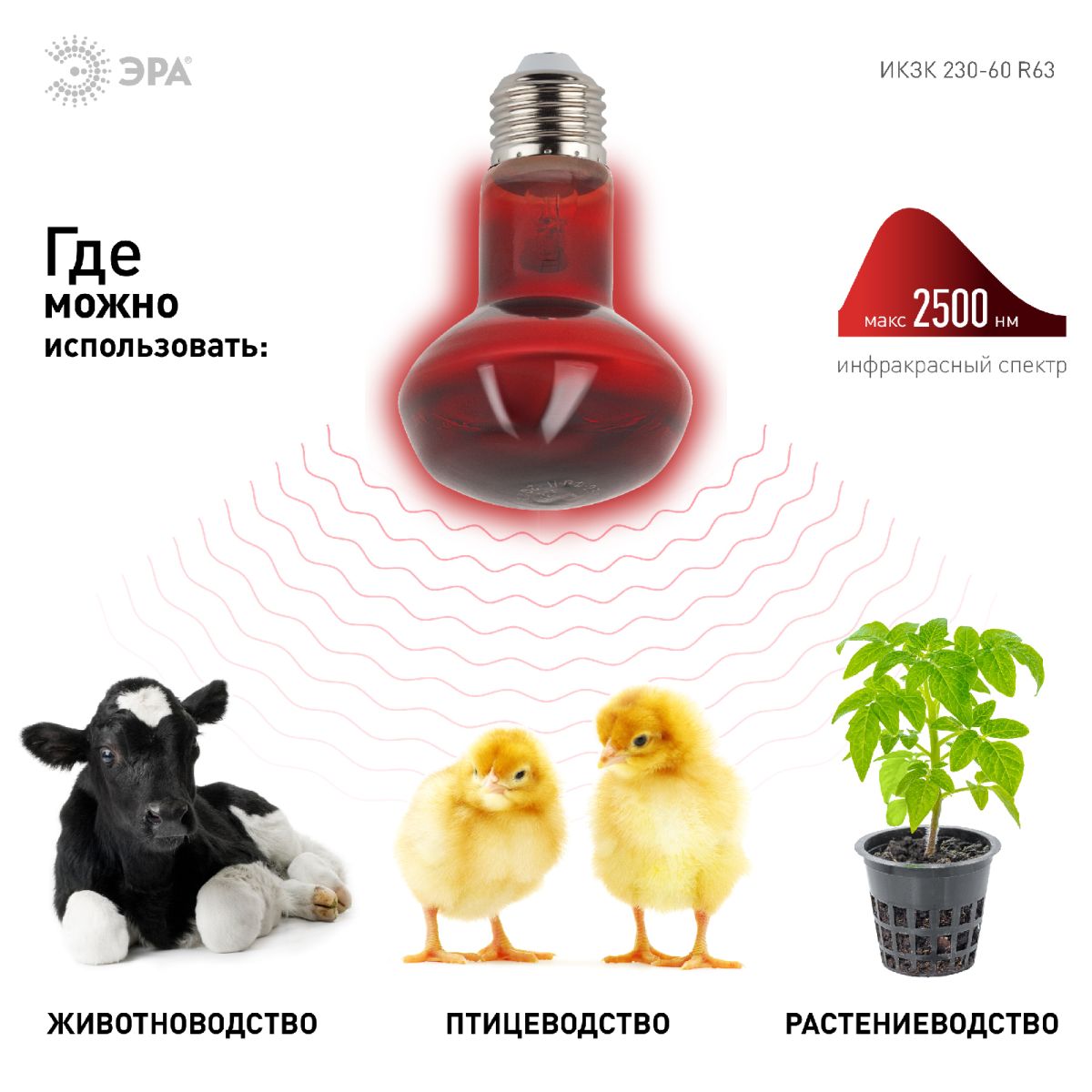 Инфракрасная лампа для обогрева животных Эра ИКЗК 230-60 R63 Е27 Б0057281 в Санкт-Петербурге