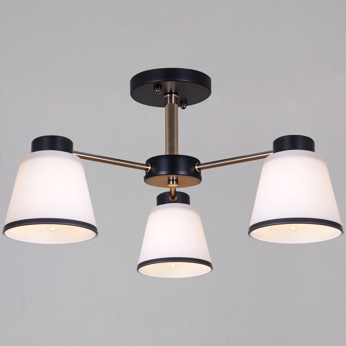 Потолочный светильник Reluce 30560-0.3-03 BK+FG в #REGION_NAME_DECLINE_PP#