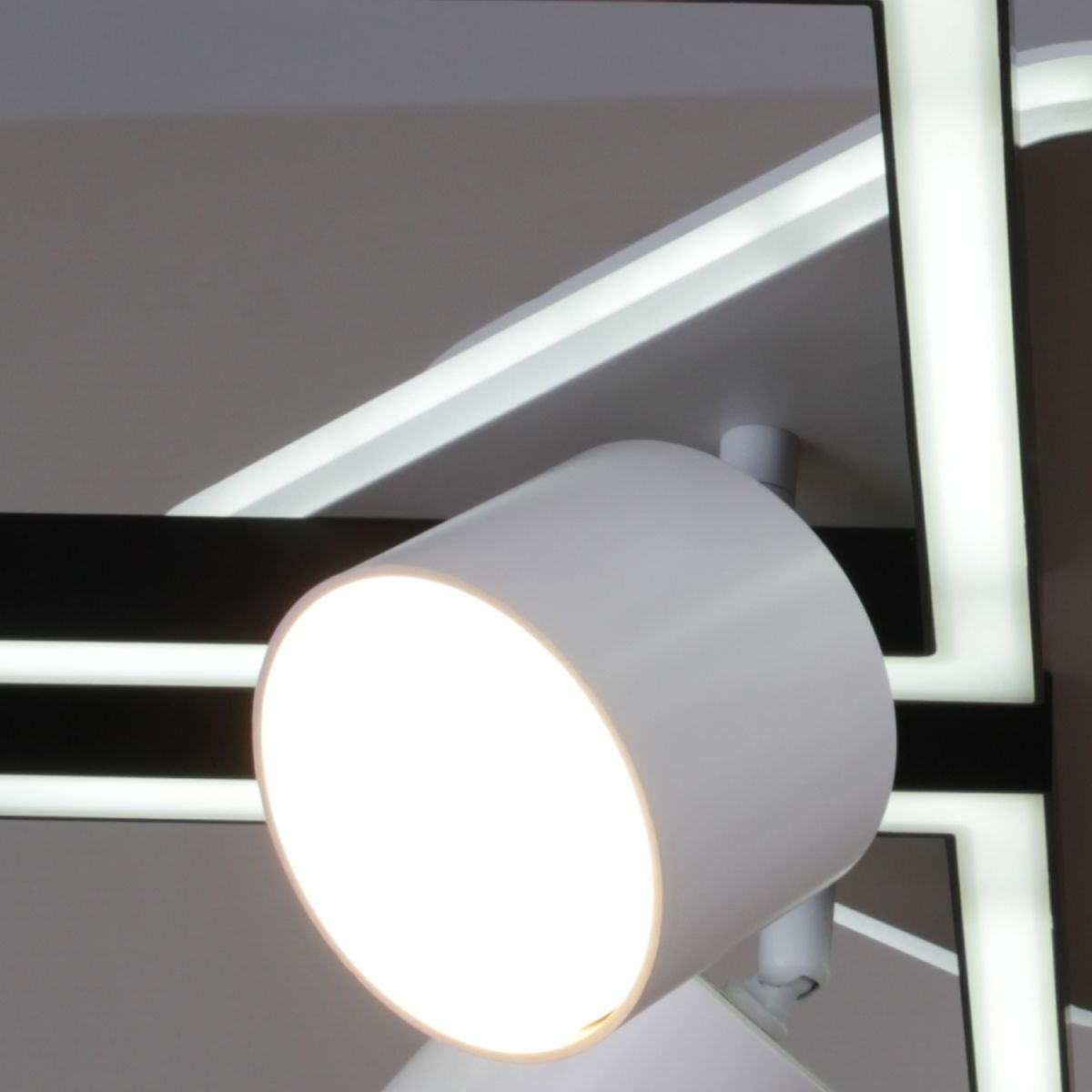 Потолочная люстра Reluce 75406-0.3-4+4+1 в #REGION_NAME_DECLINE_PP#