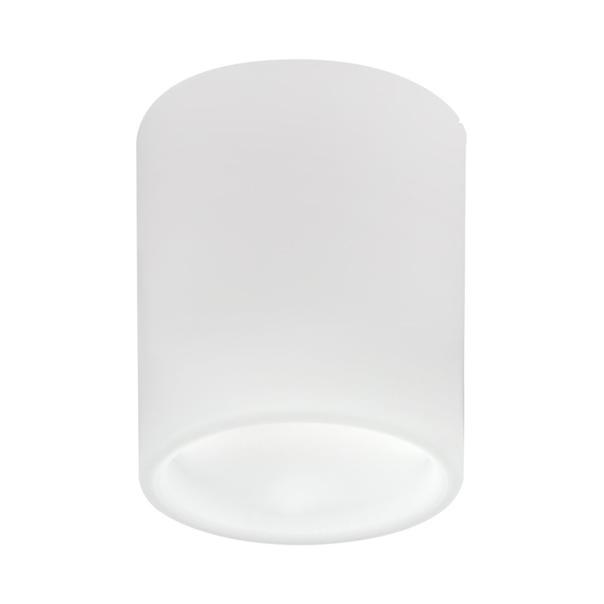 Накладной светильник Lightstar Solido E27 216626 в Санкт-Петербурге