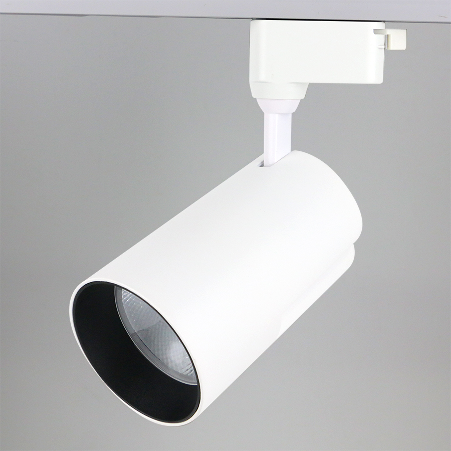 Трековый однофазный светильник General GTR-50-1-IP40-S-W-4 580063 в Санкт-Петербурге