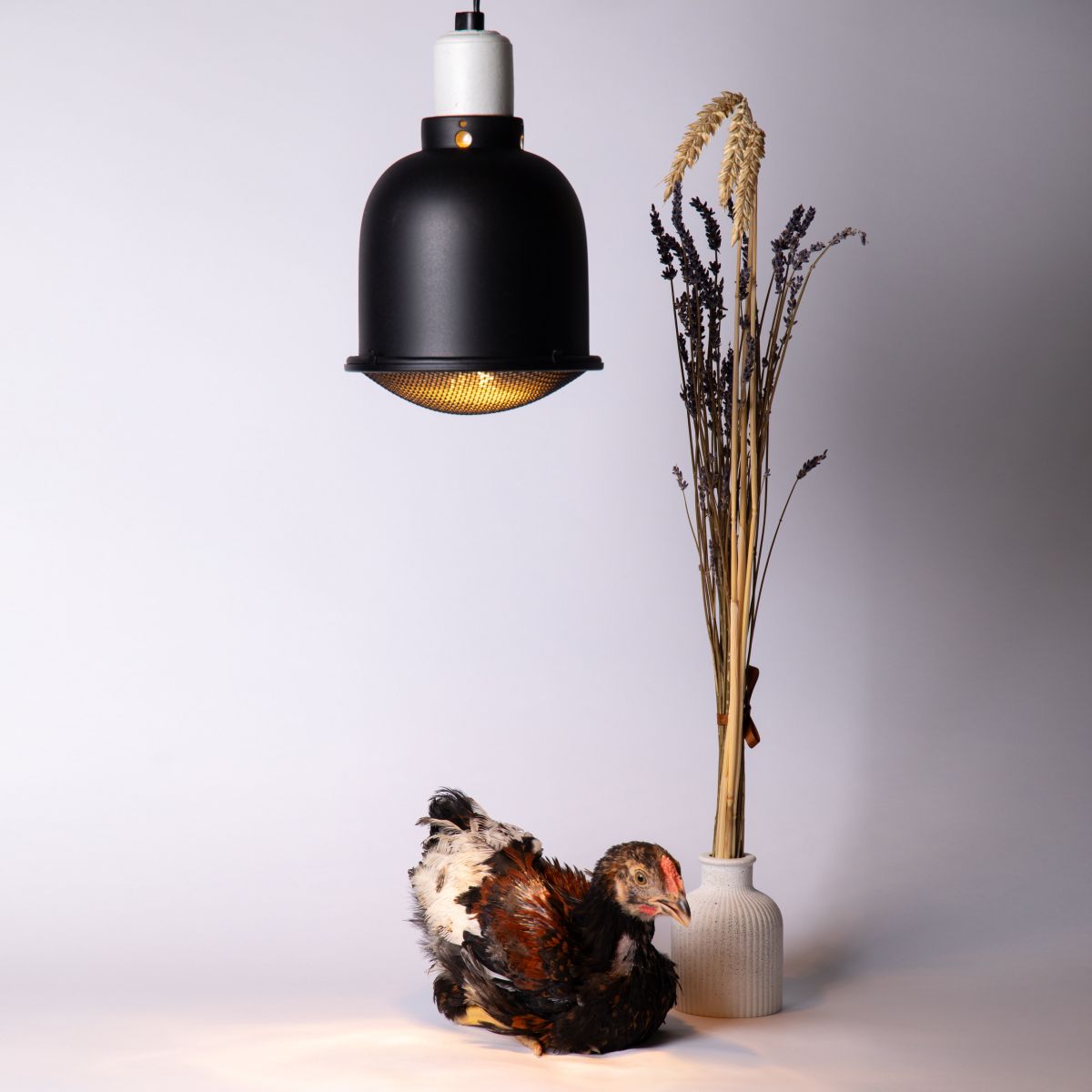 Светильник для террариумов и брудеров Эра FITO-E27-SHADE Б0053286 в Санкт-Петербурге