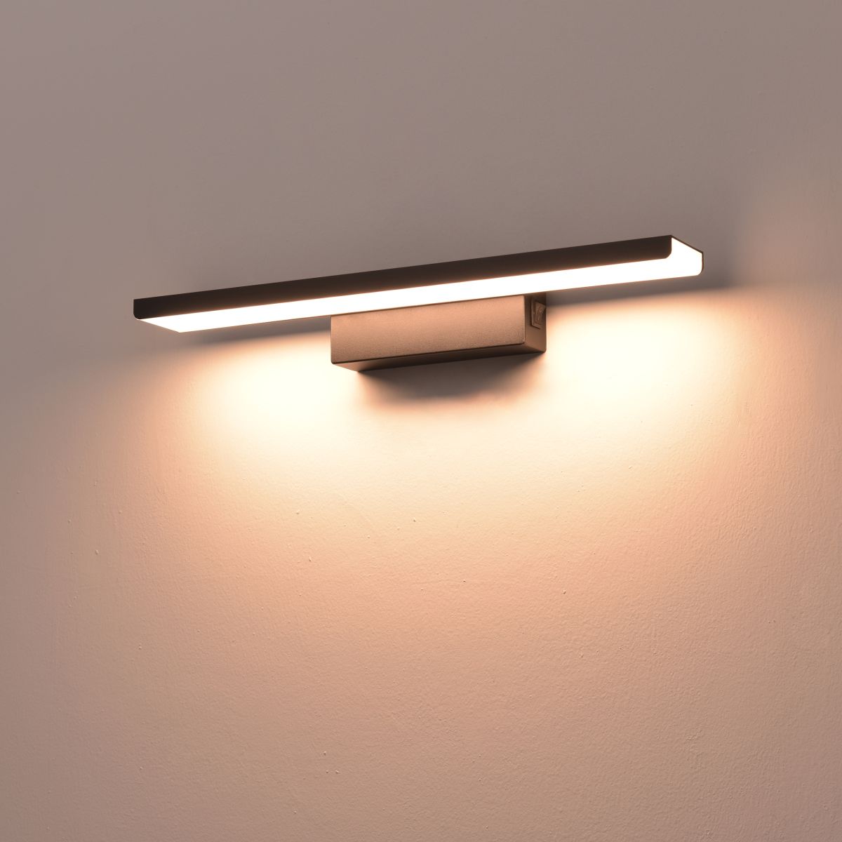 Подсветка для картин Lightstar Noce 201067 в Санкт-Петербурге