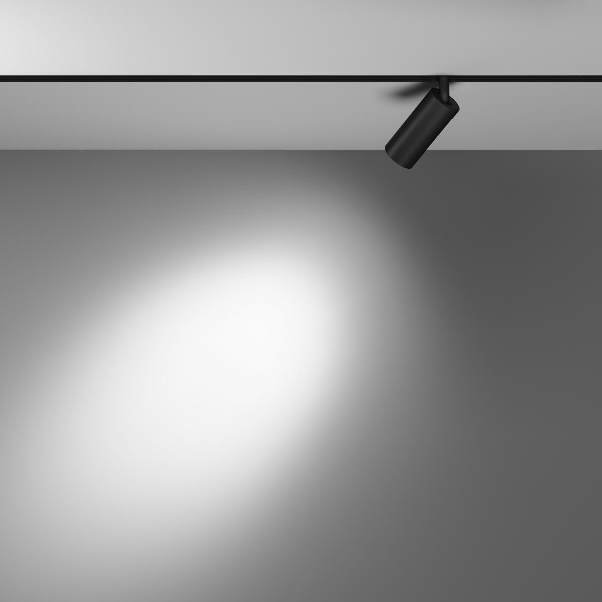 Трековый светодиодный светильник Maytoni Technical Focus Led TR032-4-5W3K-S-DS-B в #REGION_NAME_DECLINE_PP#