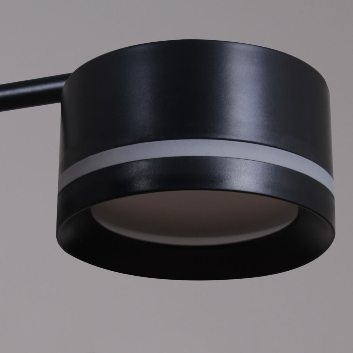 Потолочная люстра Reluce 19490-0.4-08 Black в Санкт-Петербурге