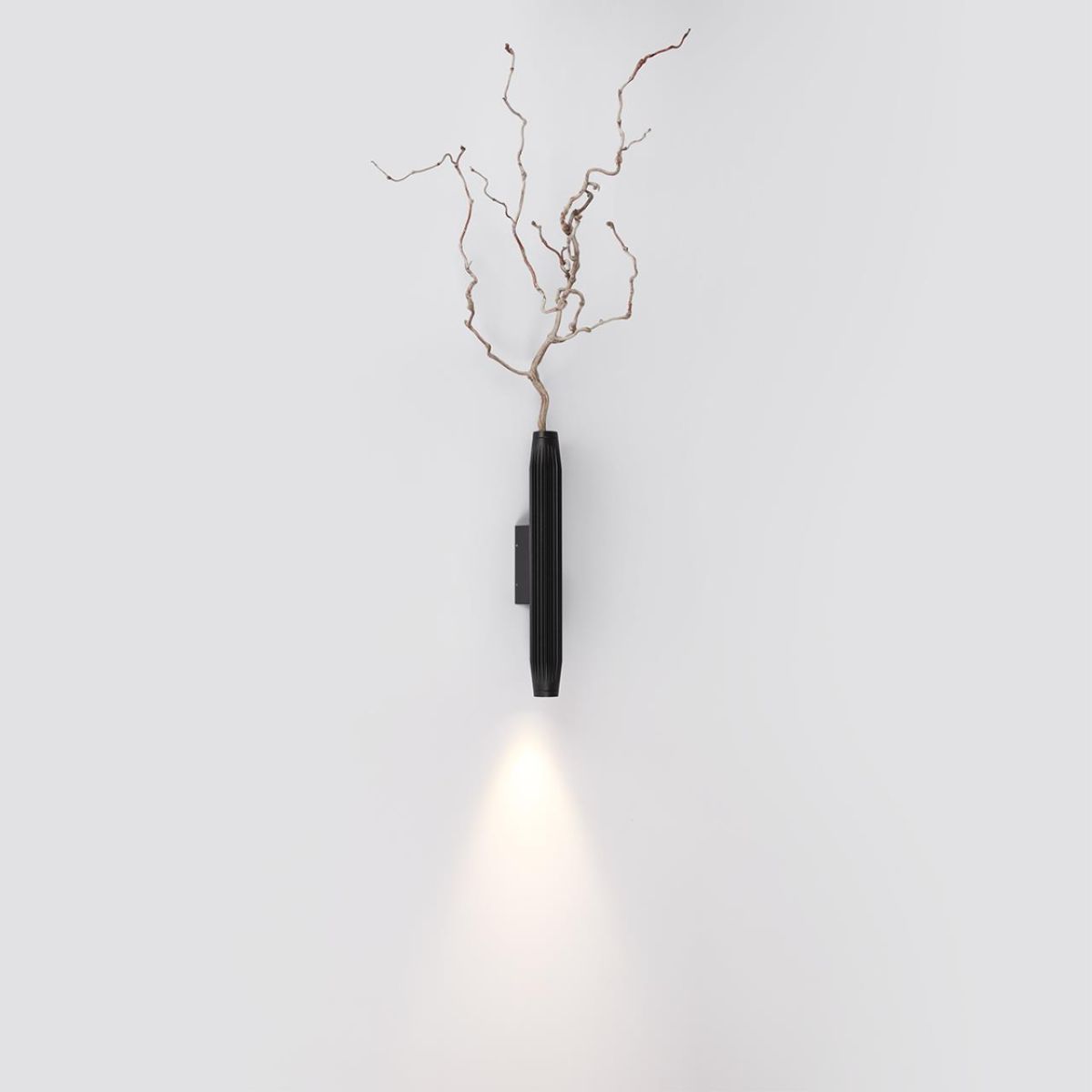 Уличный настенный светильник Odeon Light Nature Jug 7141/6WLA в Санкт-Петербурге
