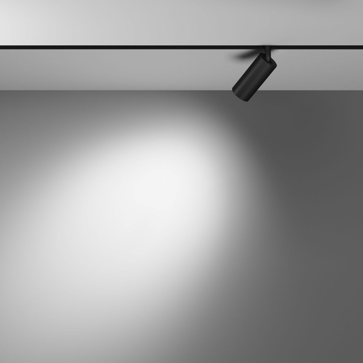 Трековый светодиодный светильник Maytoni Technical Focus Led TR032-4-5W3K-M-DS-B в Санкт-Петербурге