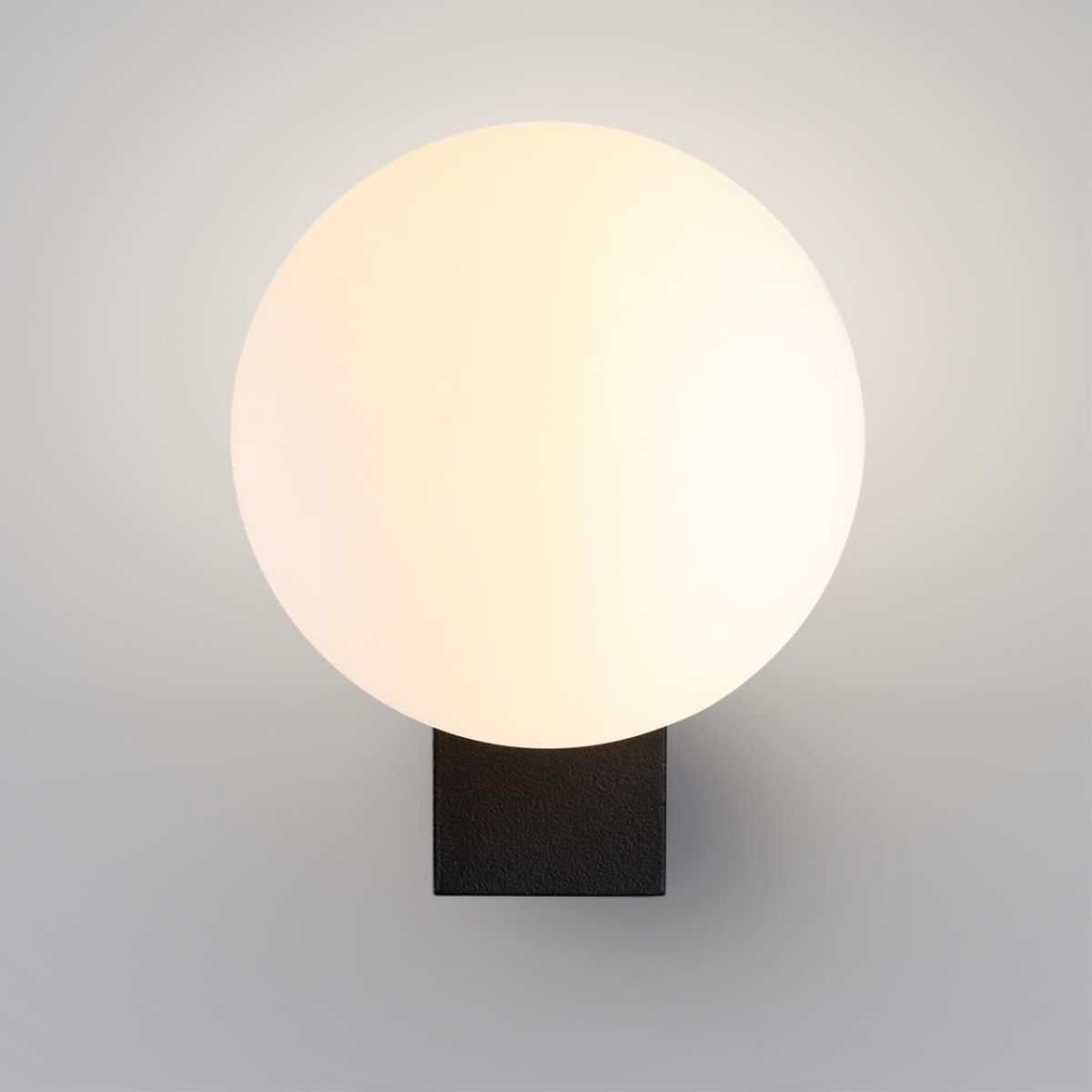 Уличный настенный светильник Odeon Light Nature Viva 7124/1W в #REGION_NAME_DECLINE_PP#