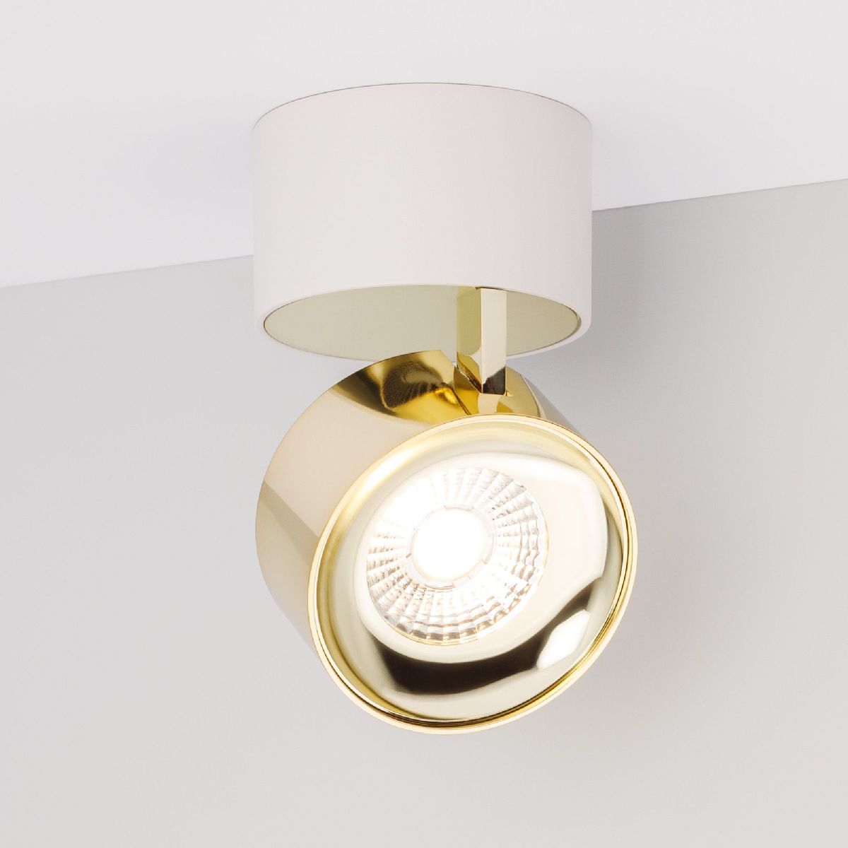 Накладной спот Arlight SP-PLURIO-SURFACE-R77-9W Day4000 (WH-BRS, 36 deg, 230V) 040398 в Санкт-Петербурге