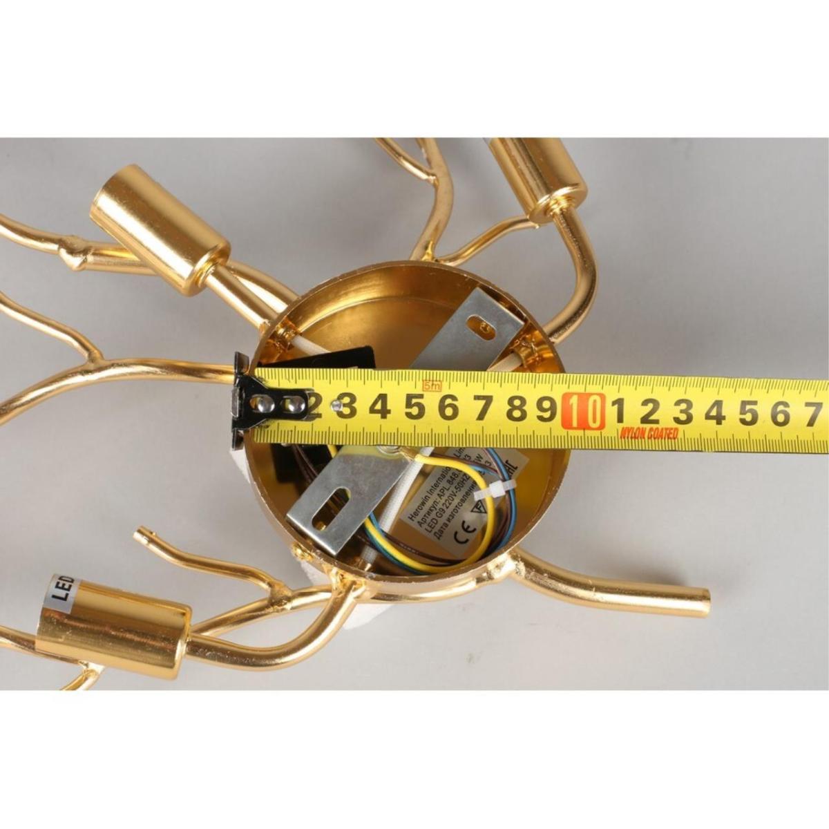 Настенный светильник  Aployt Paulina APL.848.01.03 в Санкт-Петербурге