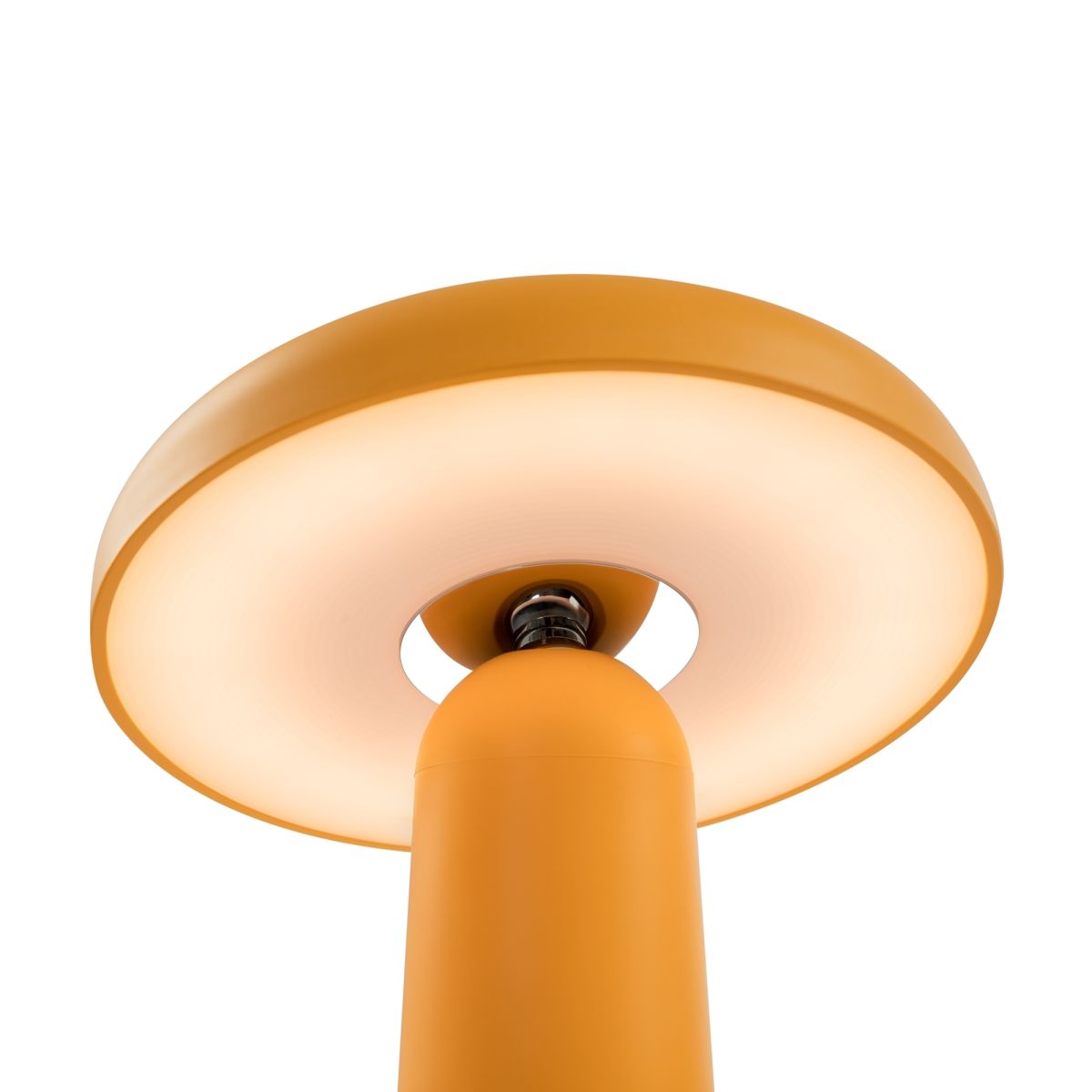 Настольная светодиодная лампа Freya Mushroom FR6109TL-L4OR в Санкт-Петербурге