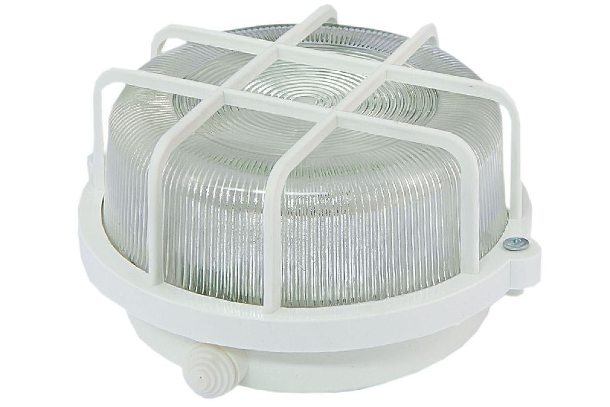 Настенно-потолочный светильник TDM Electric НПП 03-100-005.04 SQ0311-0001 в Санкт-Петербурге