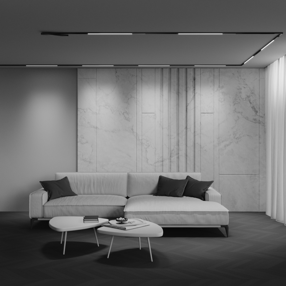 Трековый магнитный светильник Maytoni Technical Basis Exility X TR240-4-12WTW-DD2-B в Санкт-Петербурге