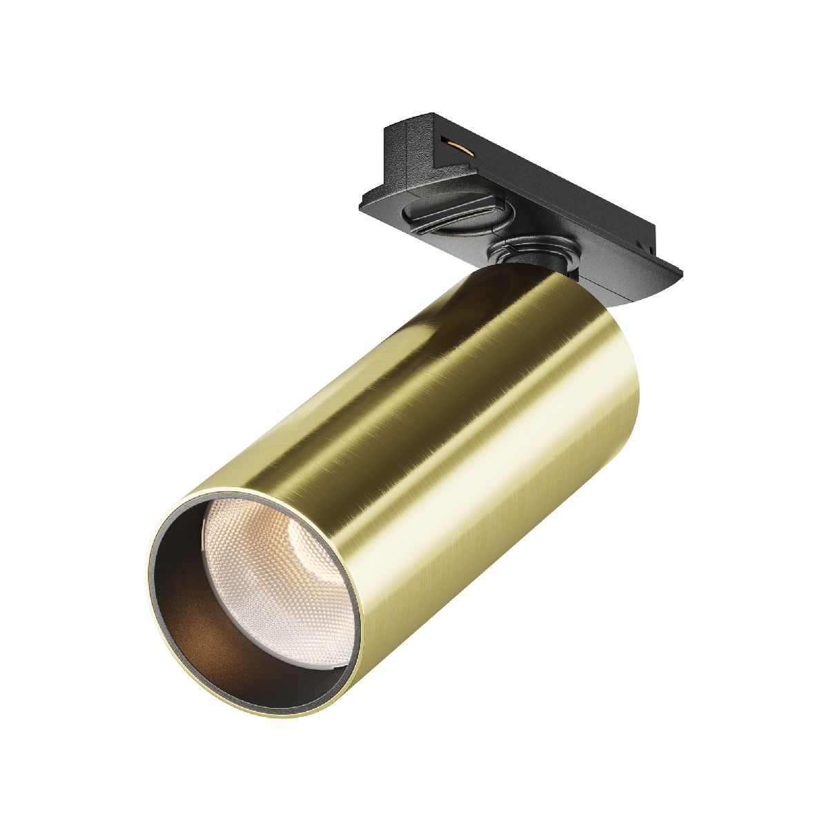 Трековый однофазный светильник Maytoni Focus Led TR021-1-12W3K-W-BBS в Санкт-Петербурге