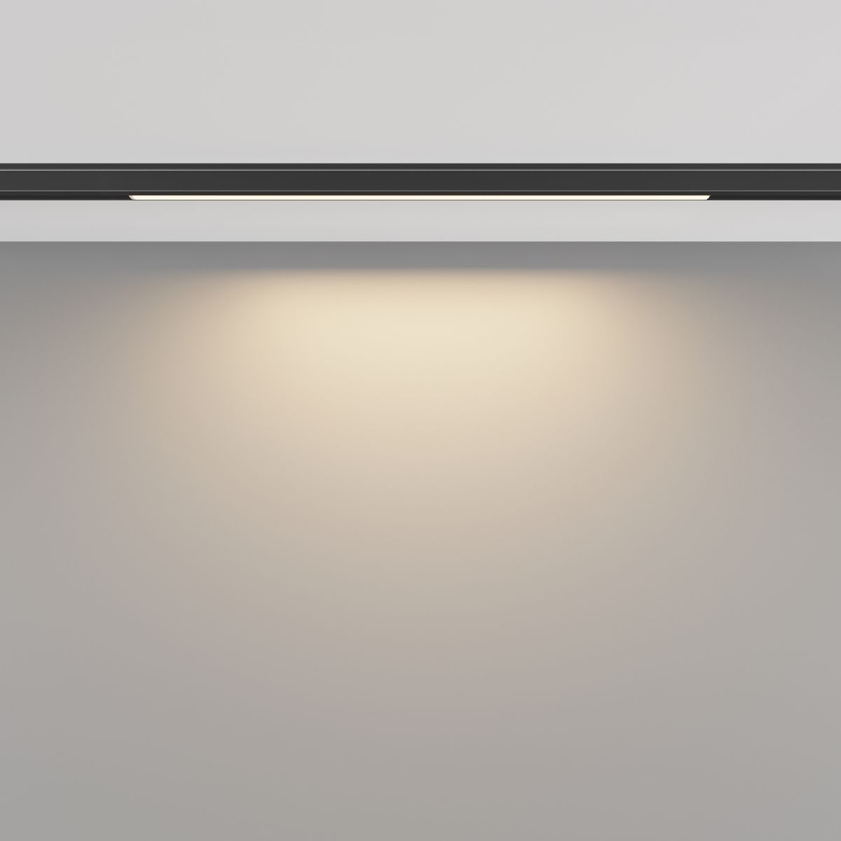 Трековый магнитный светильник Maytoni Basis TR190-1-5W3K-B в Санкт-Петербурге