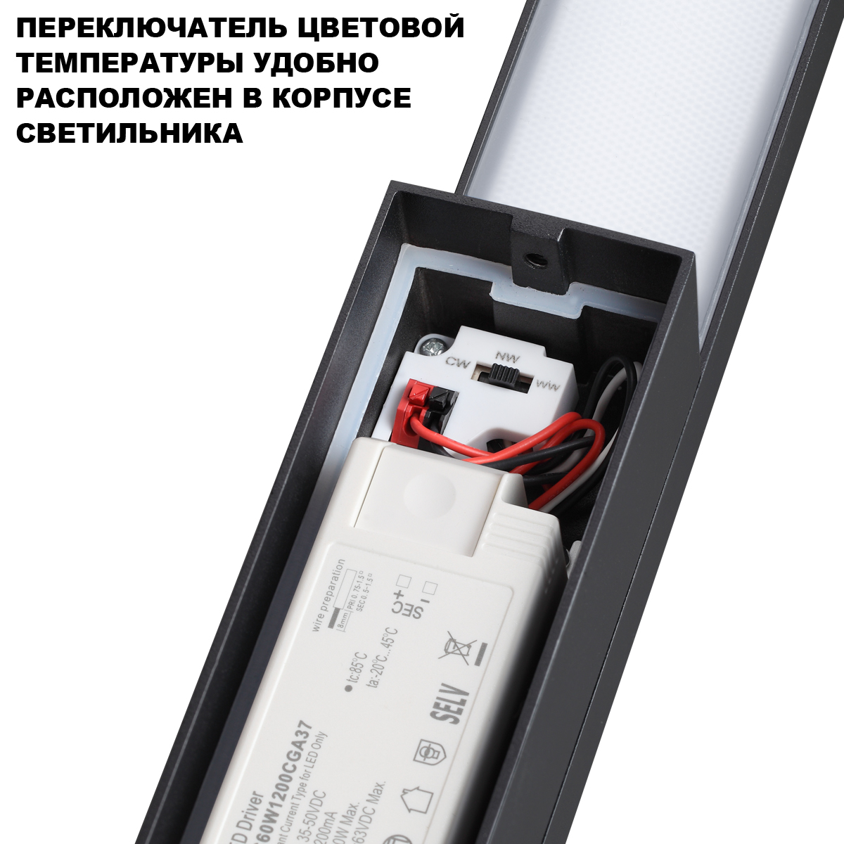 Ландшафтный светильник с переключателем цв. температуры Novotech Street Asa 359981 в Санкт-Петербурге