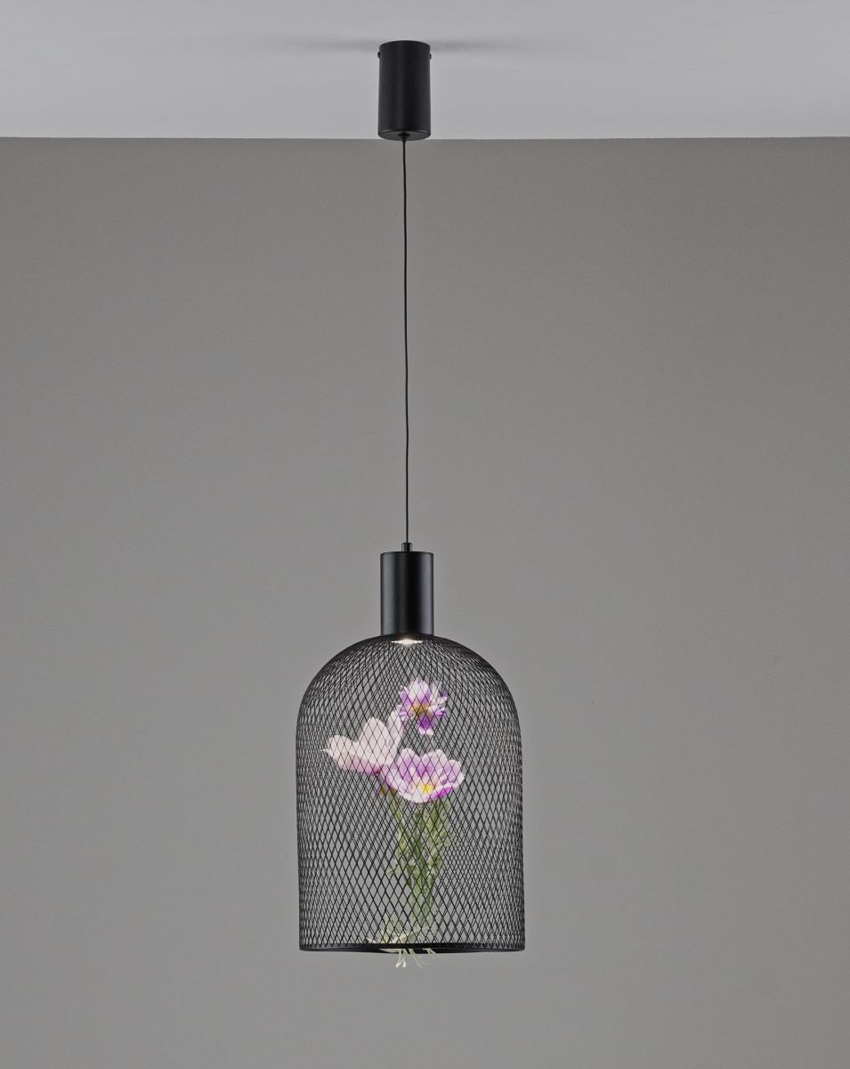 Подвесной светильник Moderli Ophelia V11875-PL в #REGION_NAME_DECLINE_PP#