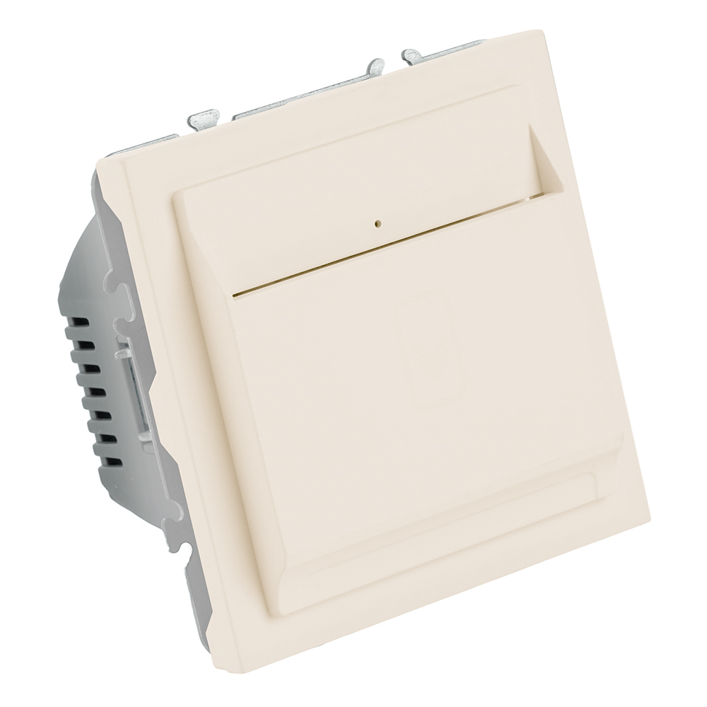 Выключатель карточный Stekker Эмили RSW40-5114-08 кашемир, soft touch 50702 в #REGION_NAME_DECLINE_PP#