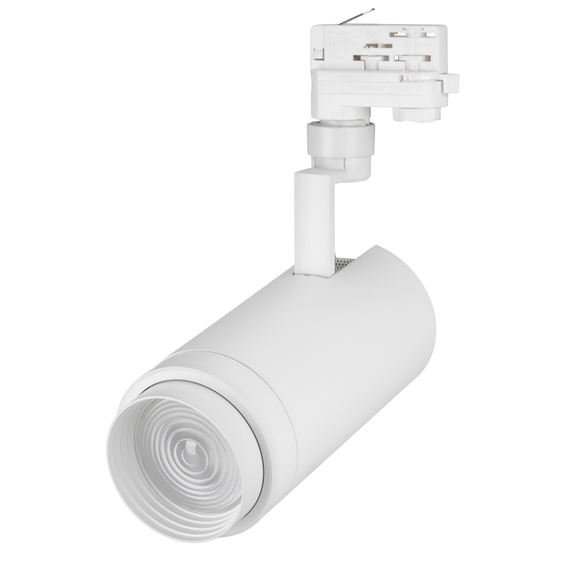 Трековый светильник Arlight LGD-Zeus-4TR-R100-30W Cool SP7500-Fish 029998 в Санкт-Петербурге