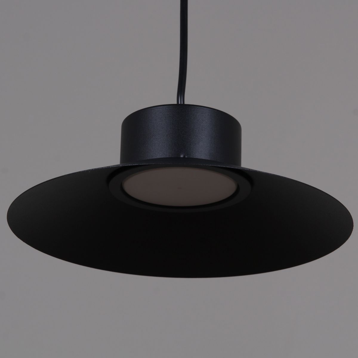 Подвесной светильник Reluce 40110-0.9-03 BK в Санкт-Петербурге