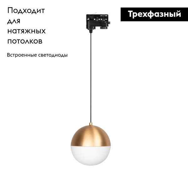 Трековый светильник Arlight LGD-Emisfero-Track-Hang-4TR-R150-11W Day4000 035939 в Санкт-Петербурге