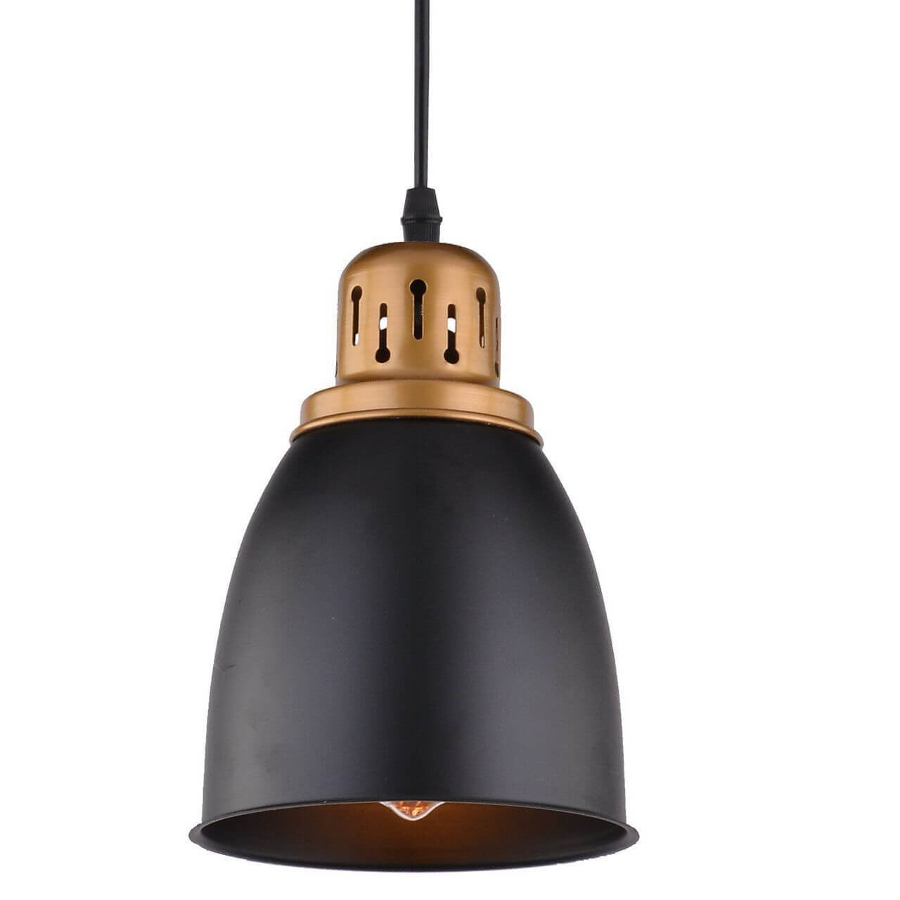 Подвесной светильник Arte Lamp Eurica A4248SP-1BK в Санкт-Петербурге