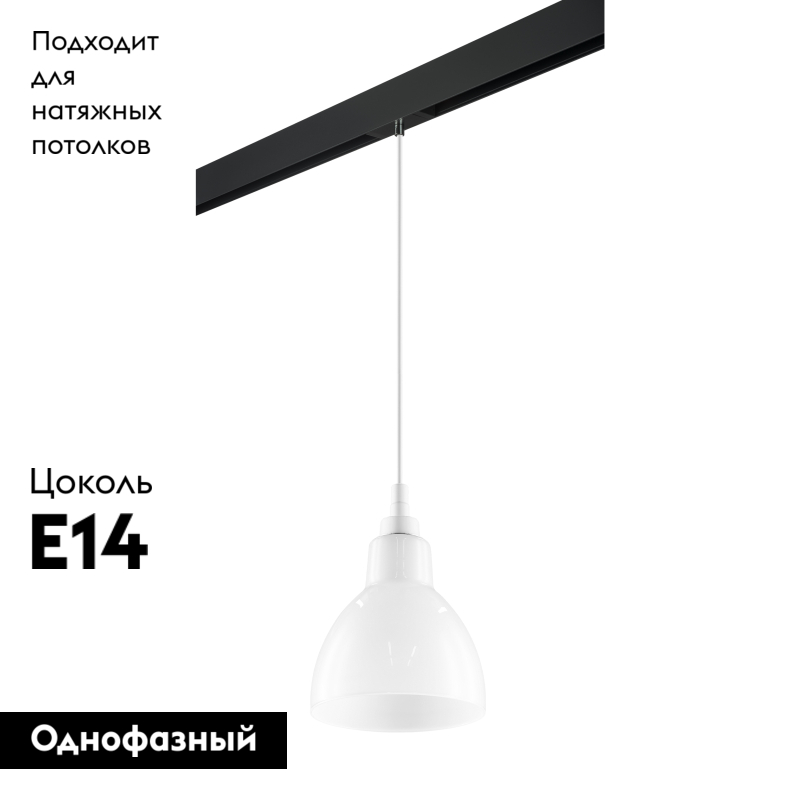 Трековый светильник Lightstar Loft PRO865016 (865016+595007) в Санкт-Петербурге