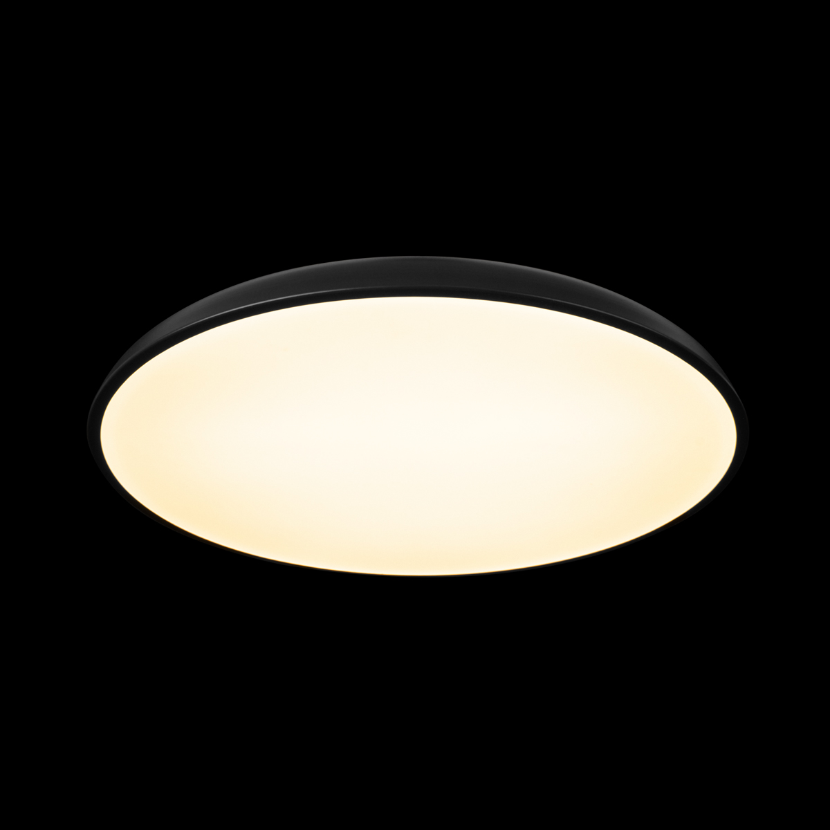 Потолочный светильник Loft IT Dime 10371 Black в Санкт-Петербурге
