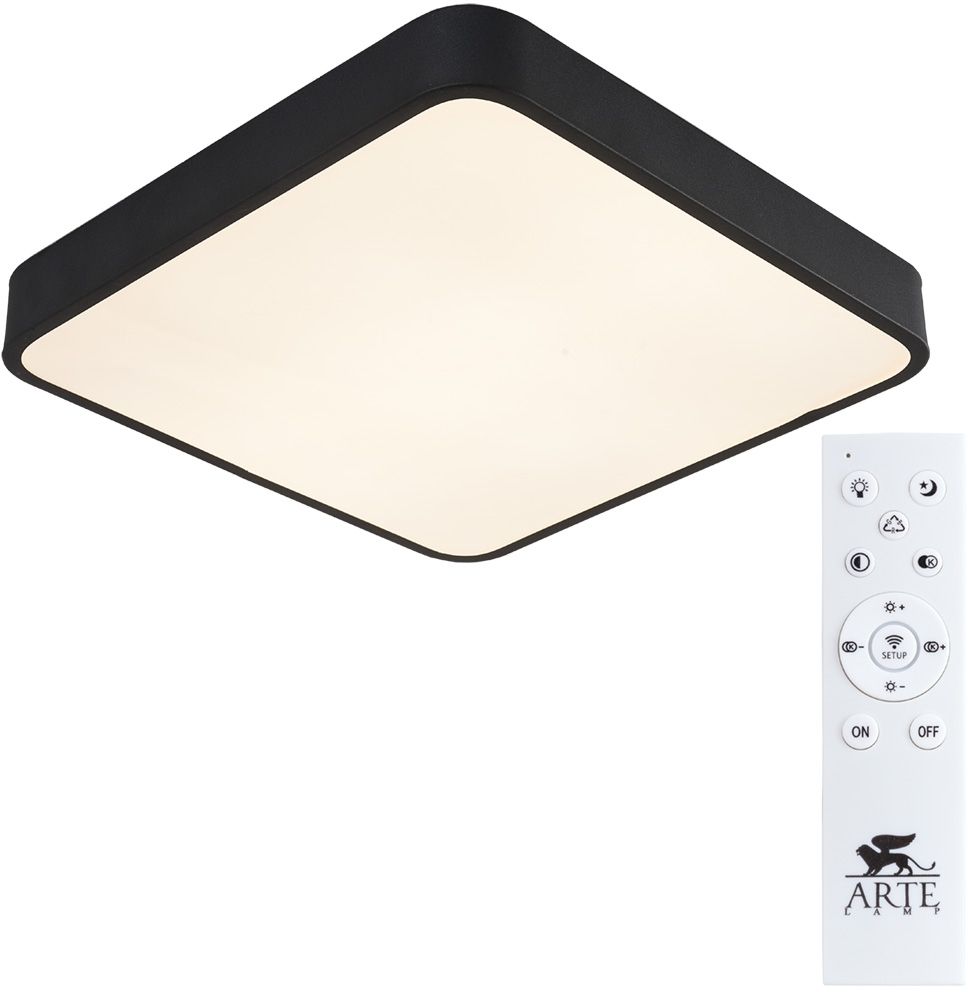 Потолочный светильник Arte Lamp A2663PL-1BK в Санкт-Петербурге