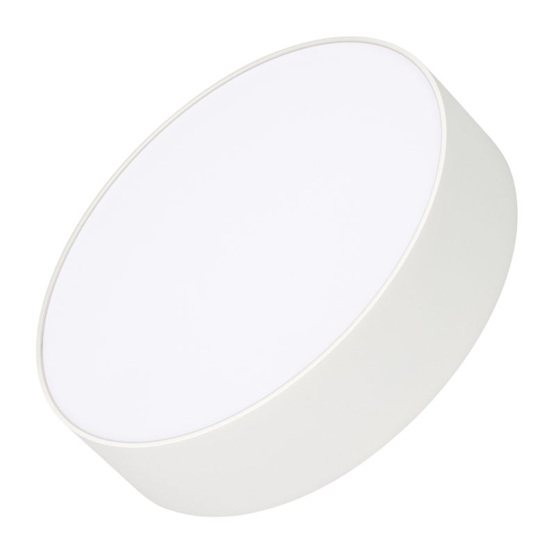 Накладной светильник Arlight IM-RONDO-EMERGENCY-3H-R210-20W Warm3000 (WH, 120 deg, 230V) 039652 в Санкт-Петербурге