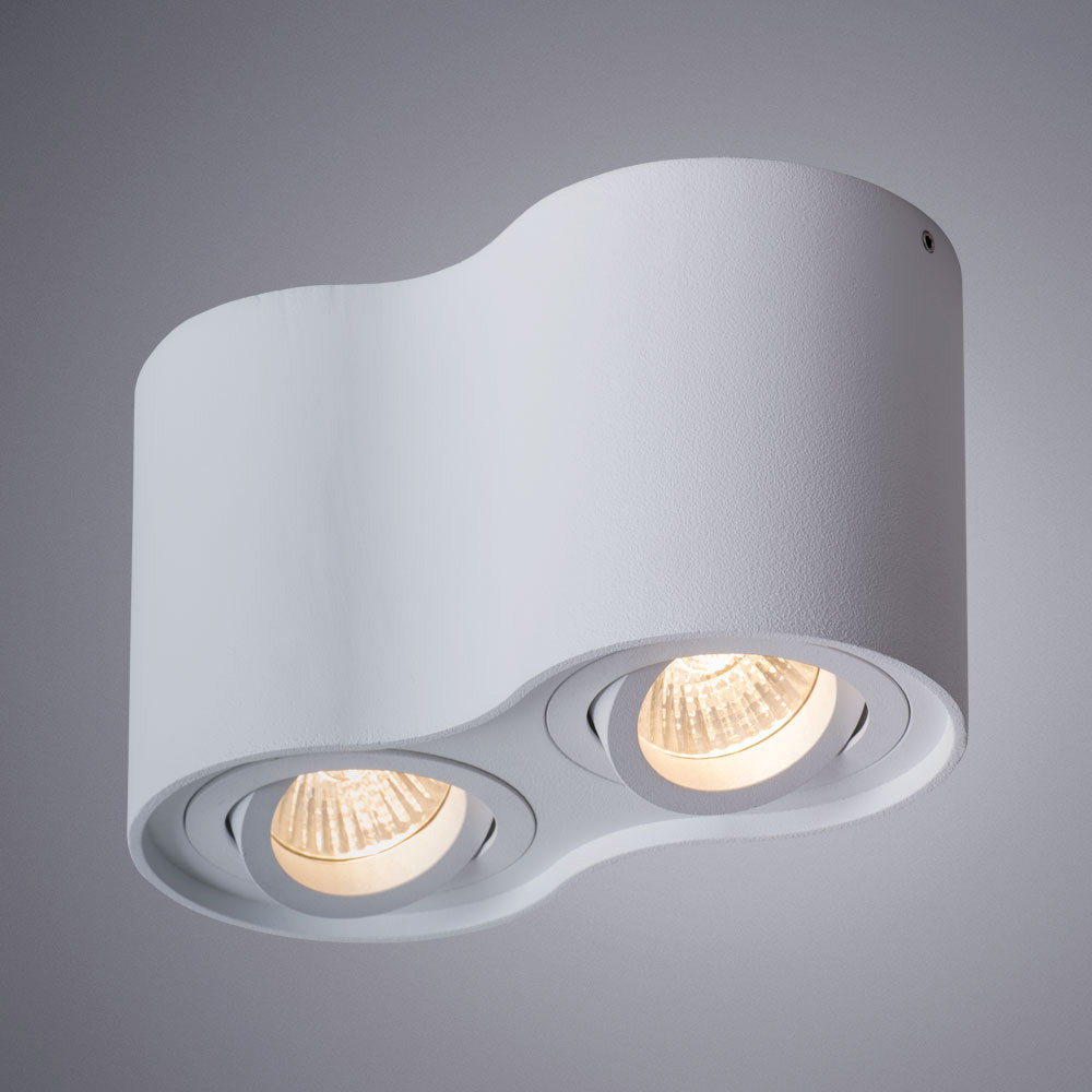 Потолочный светильник Arte Lamp Falcon A5645PL-2WH в Санкт-Петербурге