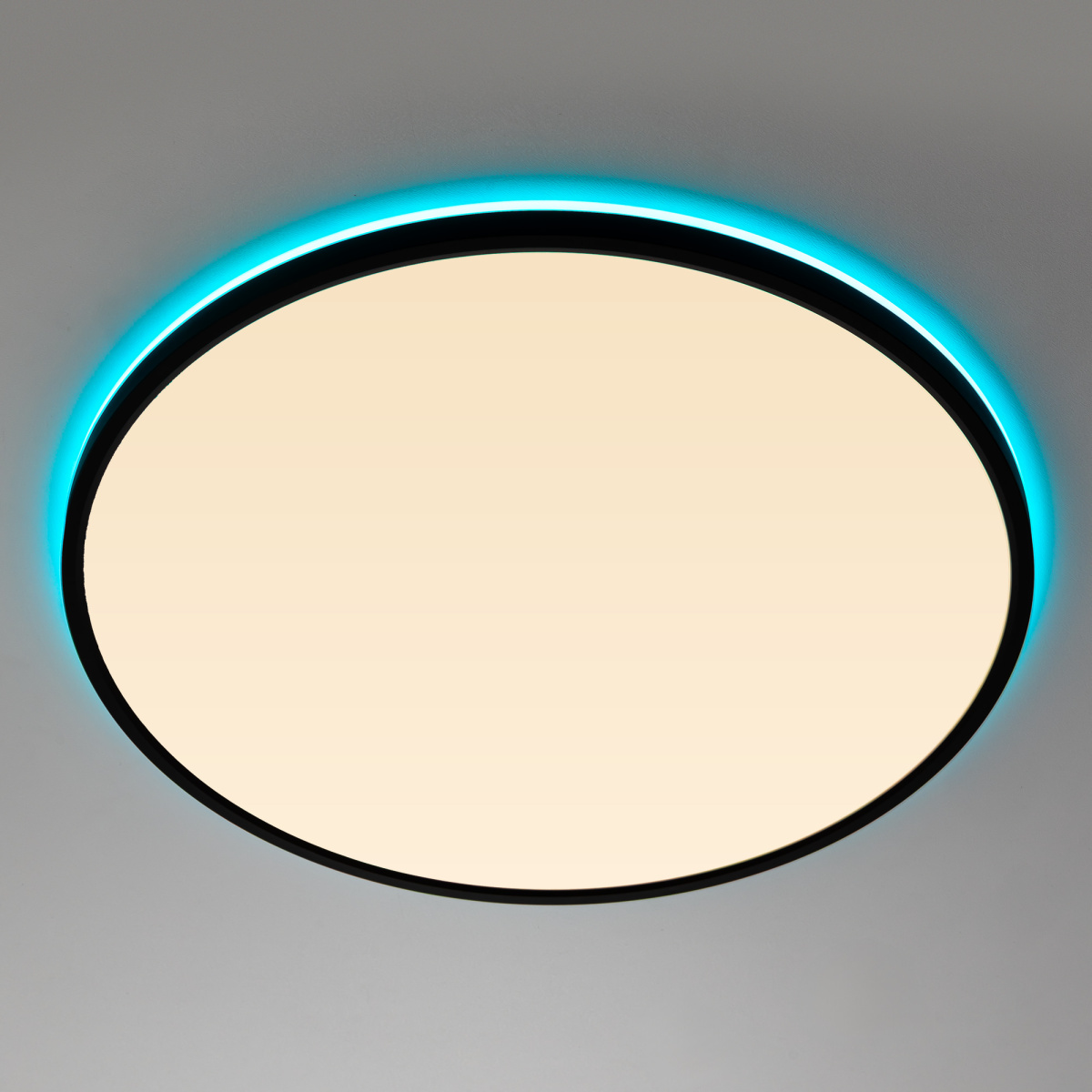Потолочный светильник Citilux Norma LED RGB CL749501 в Санкт-Петербурге