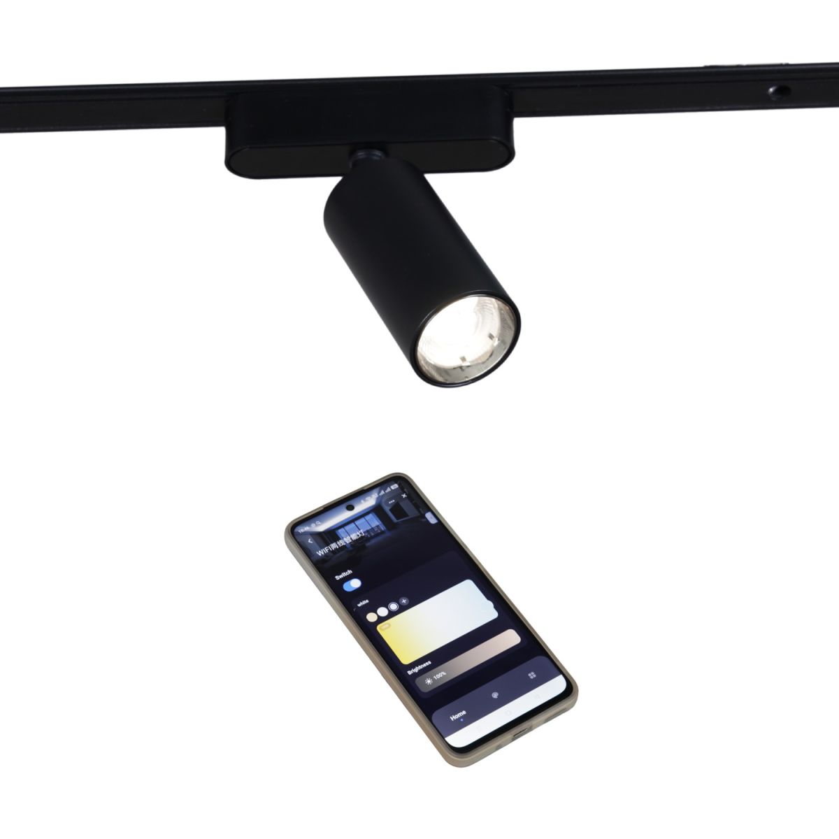 Трековый магнитный светильник (CCT+SMART) Reluce 13005-9.3-001UR magnetic LED12W BK CCT+SMART в Санкт-Петербурге