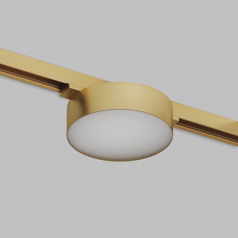 Трековый магнитный светильник Denkirs Shine Flow Zigbee DK5962-SB в Санкт-Петербурге