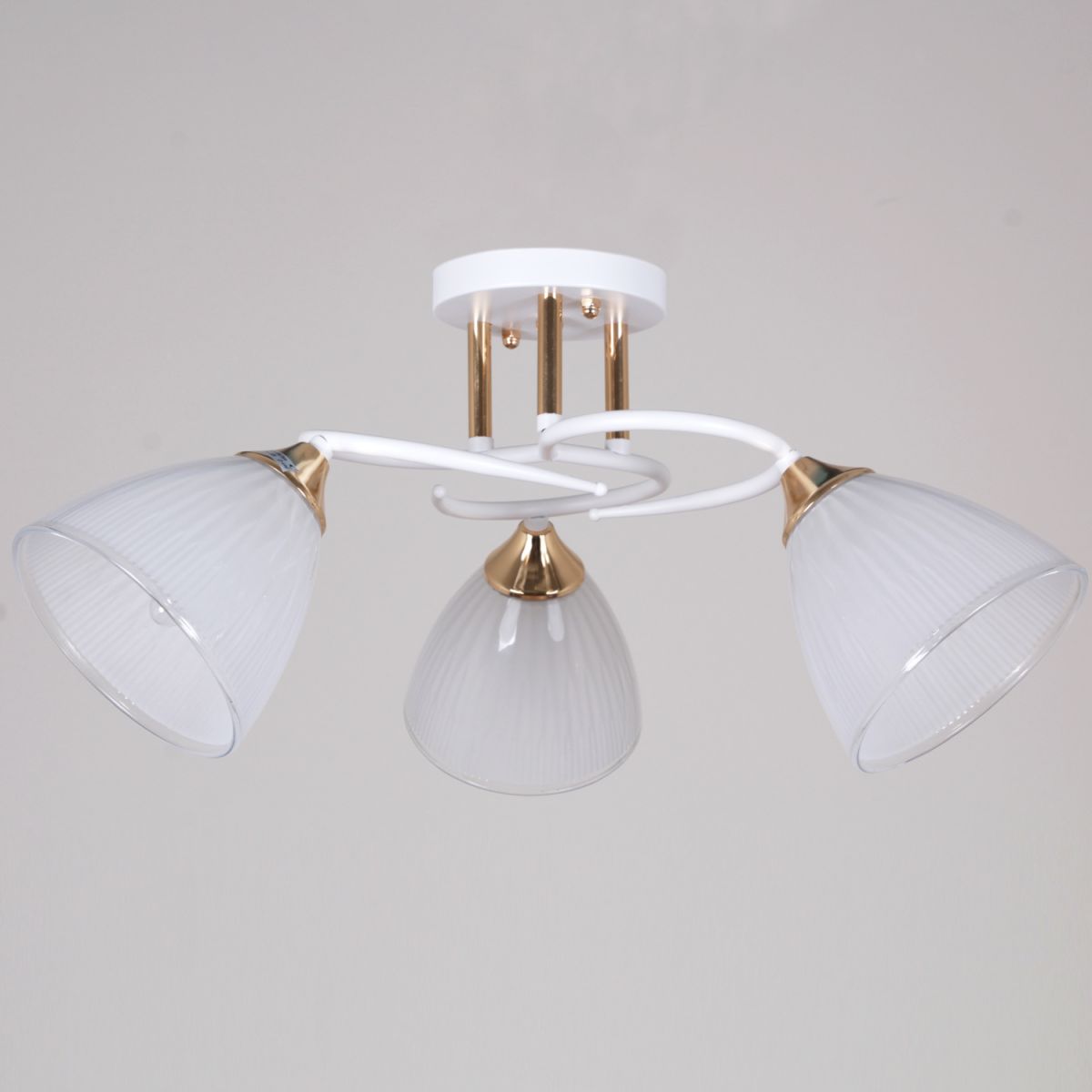 Потолочный светильник Reluce 04360-0.3-03 WH+FG в Санкт-Петербурге