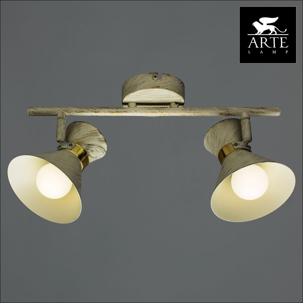 Спот Arte Lamp Baltimore A1406AP-2WG в Санкт-Петербурге