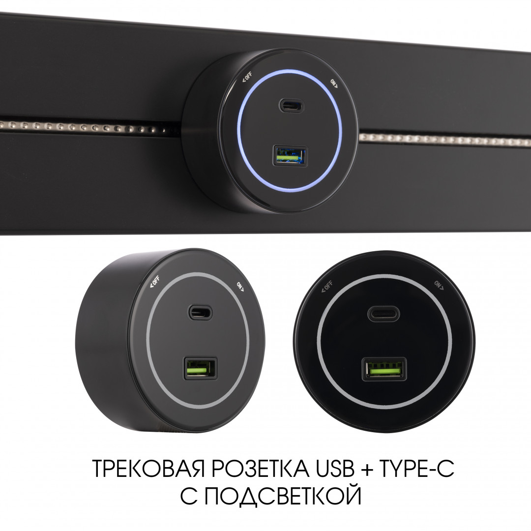 Трековая розетка Arte Milano Am-track-sockets-39 399732TS/USB-Type-C Black в Санкт-Петербурге