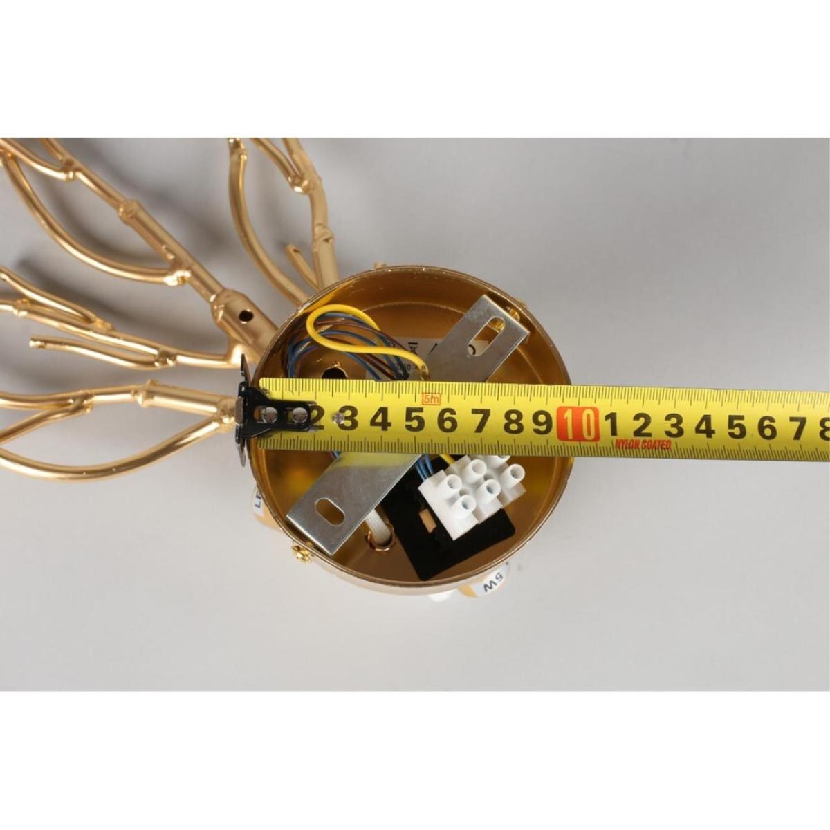 Настенный светильник  Aployt Gertunia APL.847.01.03 в Санкт-Петербурге