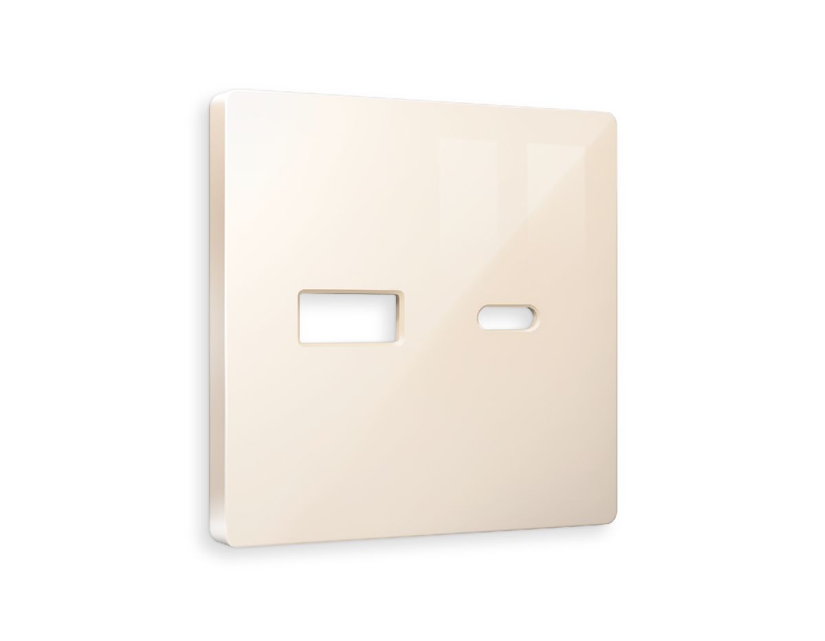 Лицевая панель для розетки 2USB тип A+C Ambrella Volt Alfa AP3110 в #REGION_NAME_DECLINE_PP#