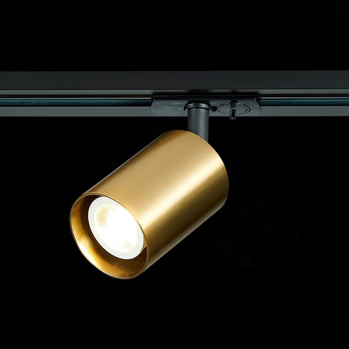 Трековый светильник ST Luce ST302 ST302.206.01 в Санкт-Петербурге