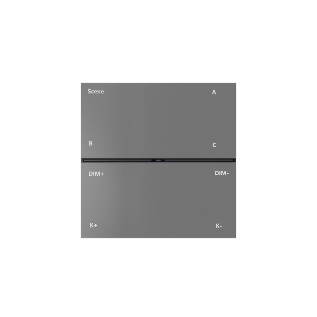 Настенная панель управления Denkirs Air Control DK7201-DG в Санкт-Петербурге