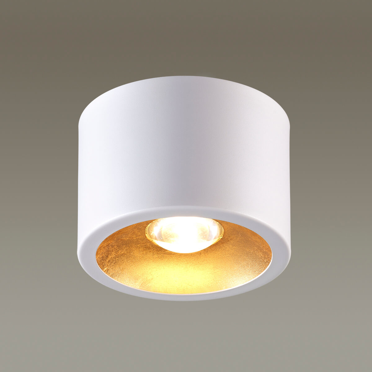 Потолочный светильник Odeon Light Glasgow 3877/1CL в Санкт-Петербурге