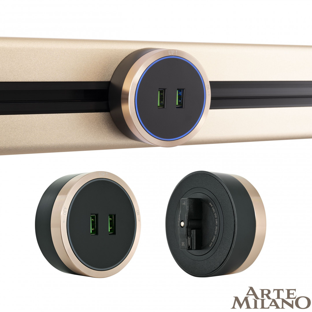 Трековая розетка Arte Milano Am-track-sockets 380066TS LED/USBx2 Gold в #REGION_NAME_DECLINE_PP#