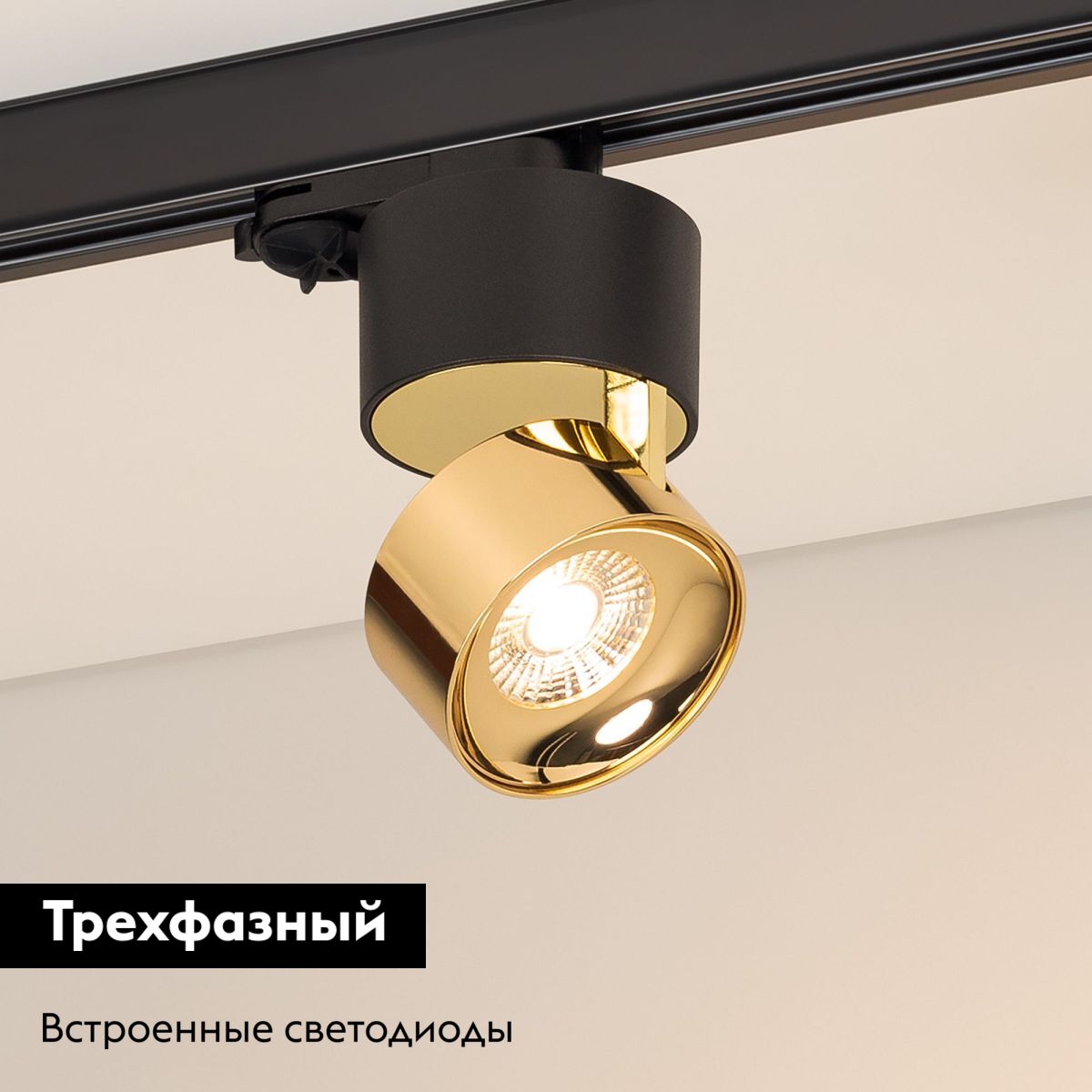 Трековый трехфазный светильник Arlight SP-PLURIO-TRACK-4TR-R77-9W Warm3000 038121 в Санкт-Петербурге