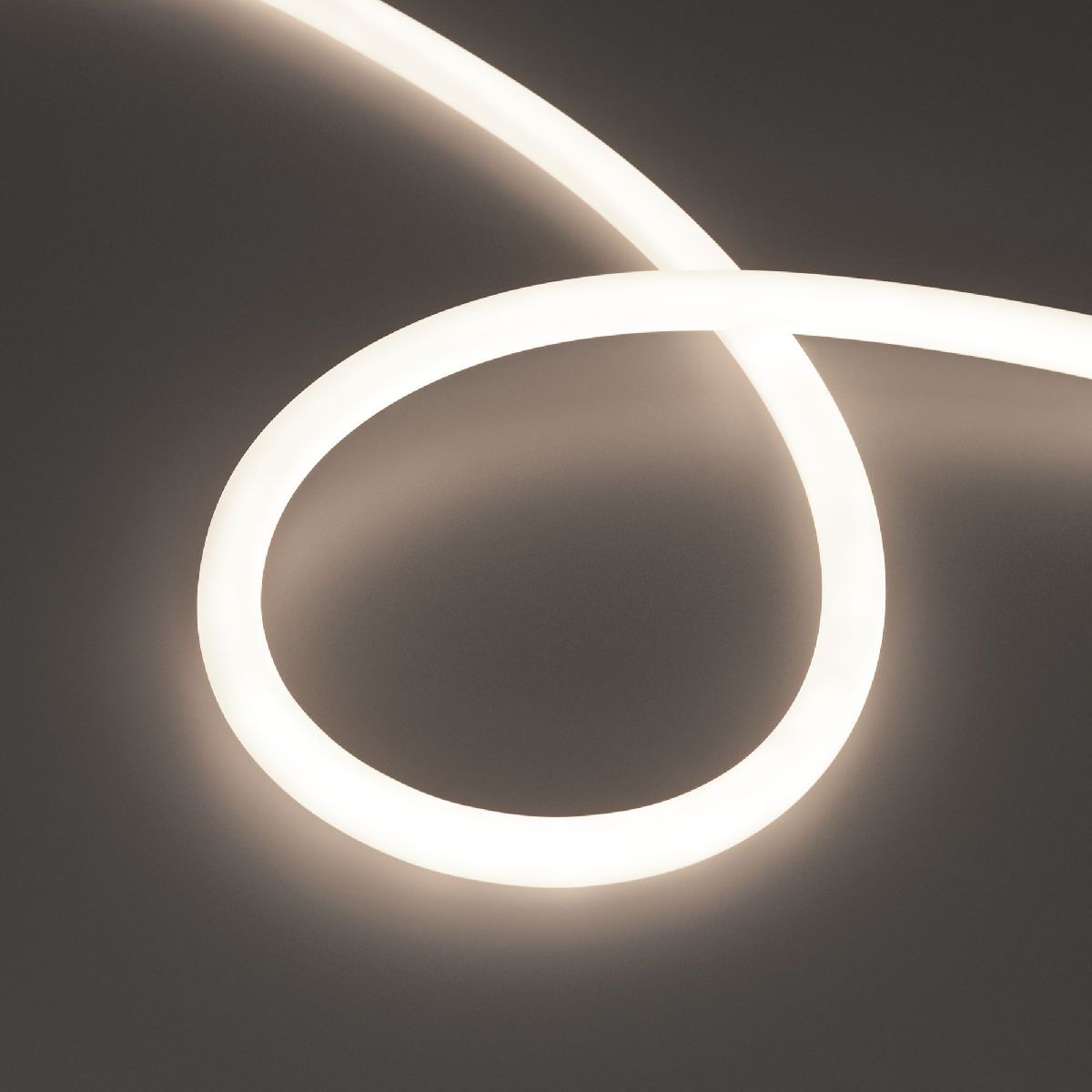 Светодиодная лента герметичная Arlight MOONLIGHT-TOP-S-M560-D13mm 24V Day4300 (13 W/m, IP65, 5m, wire x1, трос) 043817 в Санкт-Петербурге