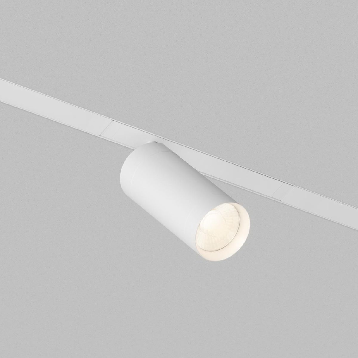 Трековый однофазный светильник Denkirs Simple Spot DK8120-WH в Санкт-Петербурге