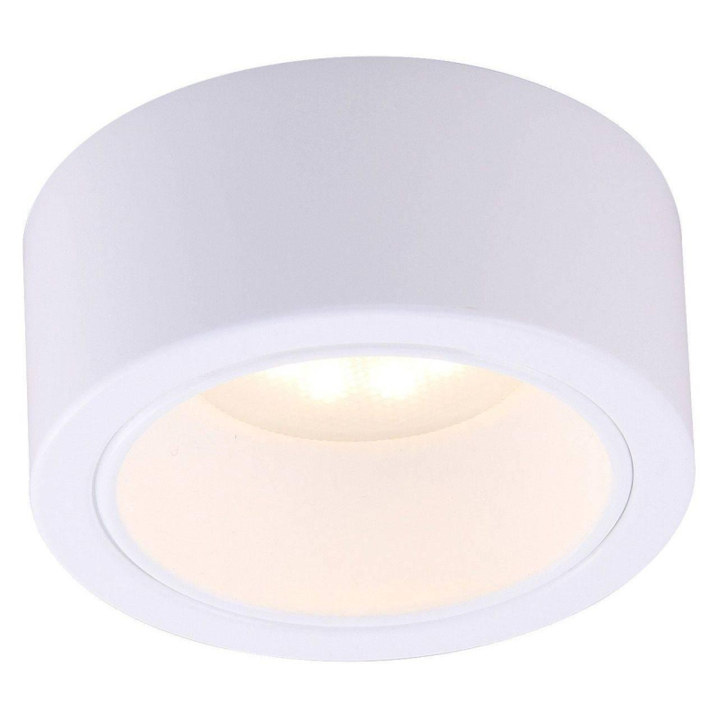 Потолочный светильник Arte Lamp Effetto A5553PL-1WH в Санкт-Петербурге