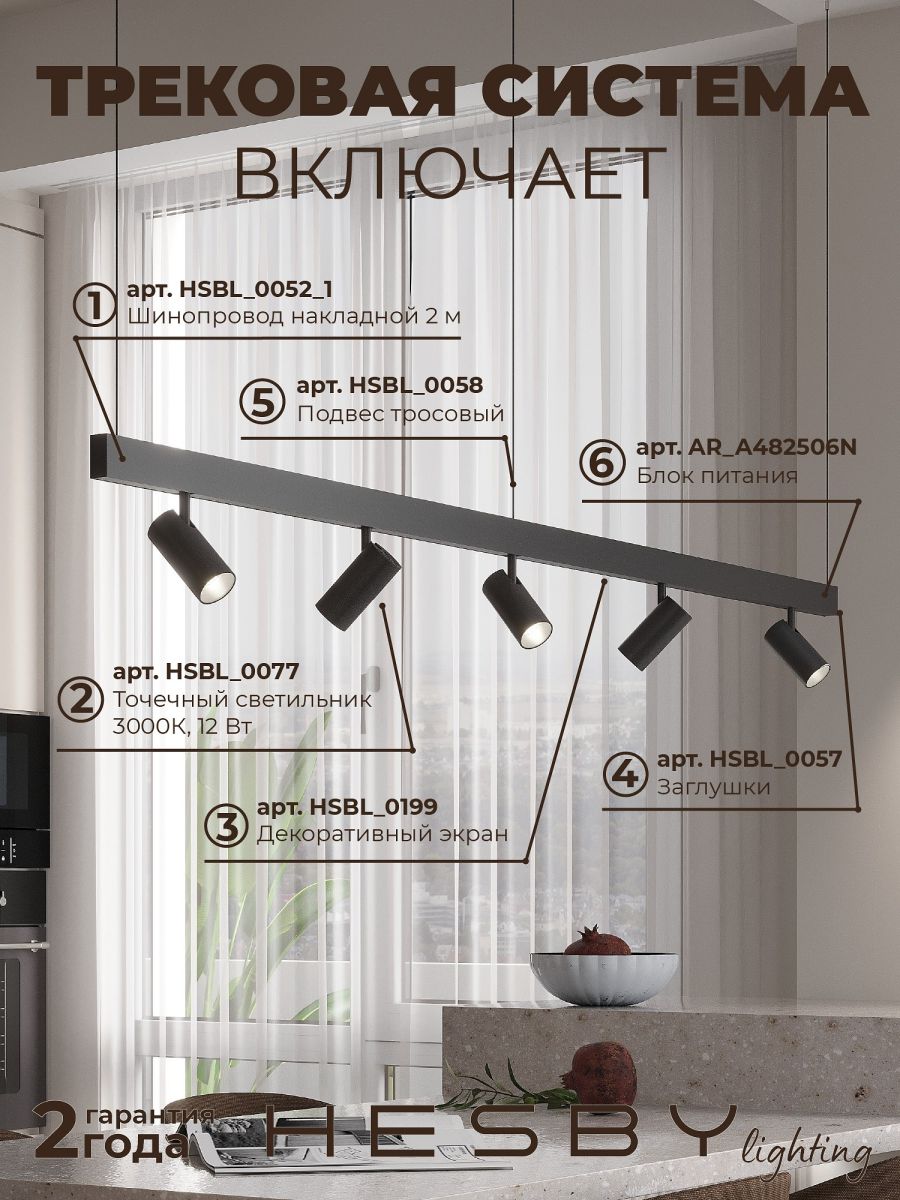 Трековая система со светильниками №3 трехфазная подвесная Eldeko (48В, форма - прямая, 2м, 3000K) черная Hesby Lighting HSBL_kompl_E003_PI2B3K в #REGION_NAME_DECLINE_PP#