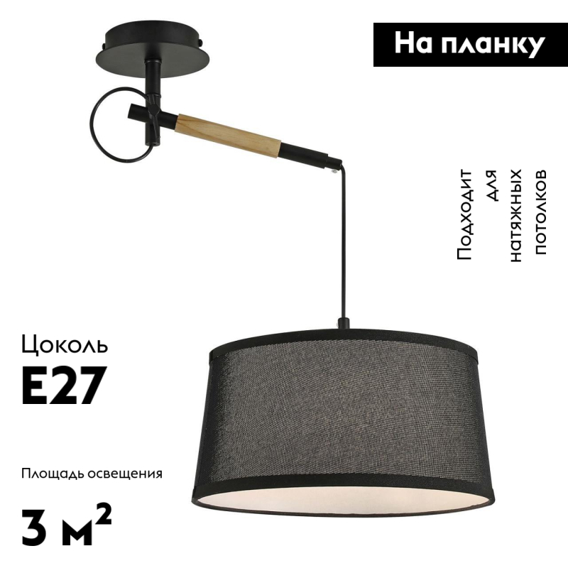 Настенно-потолочный светильник F-Promo Eureka 3006-1P в #REGION_NAME_DECLINE_PP#