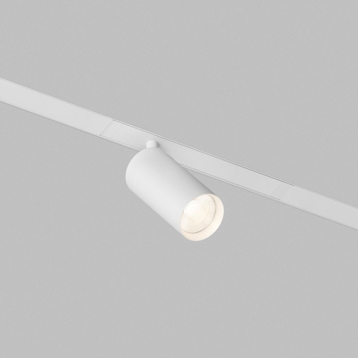 Трековый однофазный светильник Denkirs Simple Spot DK8110-WH в Санкт-Петербурге